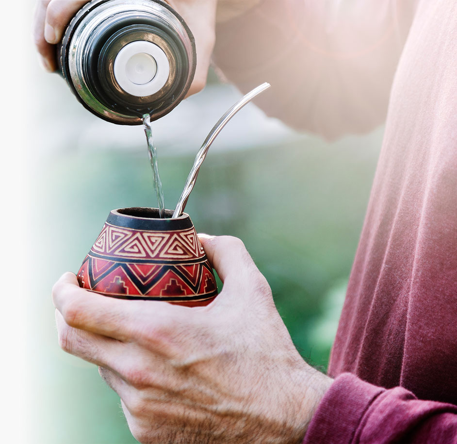 yerba mate antioxidant